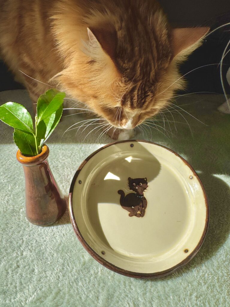 出雲出西窯小皿一輪挿し